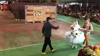 Quadrilha Fogo Jovem 2019