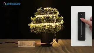 SKYDANCE CCT Dual Color LED controlller & remote controls