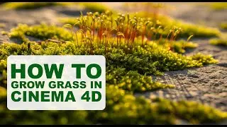 How to Grow Grass in Cinema 4D