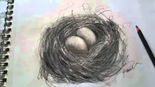 El Nido y el Águila: Poesía y Dibujo