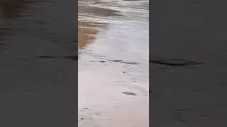 Сел дар Нуробод 18 май 2024, Купрук таги об монд, Сангдевол, Мучихарф, Хаким, Чорсада