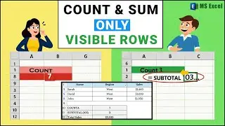 Count and Sum Filtered Data in Excel (Visible Data Only)