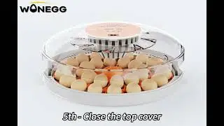30H egg incubator