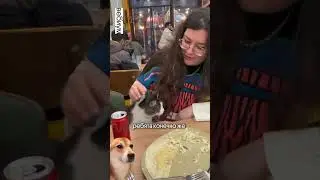 Готовься к английскому с нами ❤️ 
