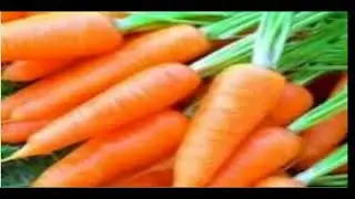 Дача кормит, дача лечит