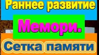 Раннее развитие. Мемори. Сетка памяти. Развитие фотографической памяти.