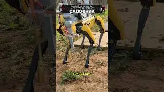Робопес-садовник! #shorts