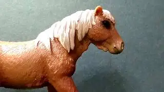 Топ 10 моих любимых пони шляйх