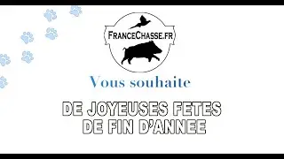 Joyeuses Fetes !