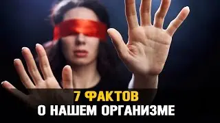 7 ФАКТОВ: ЧЕЛОВЕЧЕСКОЕ ТЕЛО / факты о организме, как устроено тело человека?