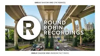 Ginelio - Shadow Mind (Random Fact Remix)