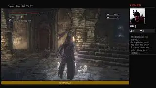 BLOODBORNE FARM INSIGHT EASY