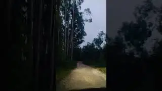 Uber Rural