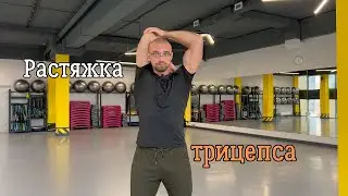 Растяжка трицепса, 2 варианта