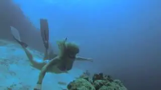 Underwater showreel 2014