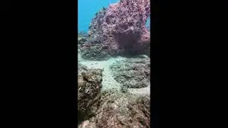 Poseidon Dive Center Diving in Taganga