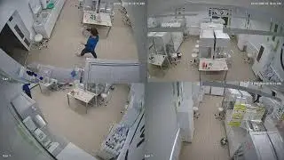 Чемпионат по профессиональному мастерству компетенция "Сельскохозяйственные биотехнологии"
