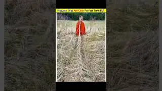 Photos that was captured at the perfect time /🤯/perfect thing part 6 