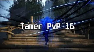 BDO Tamer PVP 16