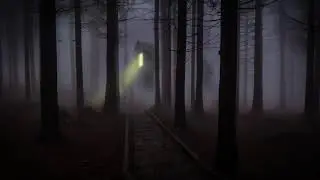 Dan Caine - In the Deep Woods