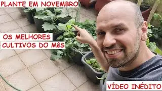 Plant in November: The Best Crops of the Month for your orchard and vegetable garden in pots. (un...