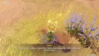 A Gifted Rose: Some People Never Fade Away | World Quest [ Genshin Impact 3.1 ]