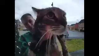 mgaow