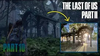 The Last of Us Part 2 Playthrough - Part 10 - I KNOW THIS PLACE!!