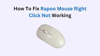 How to Fix Rapoo Mouse Right Click Not Working – Full Button Repair & Settings Guide