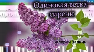 Одинокая ветка сирени   Валерий Залкин