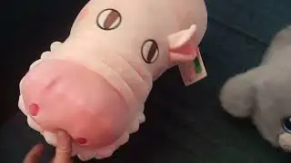 Насмеялись зато🤣🤣🤣