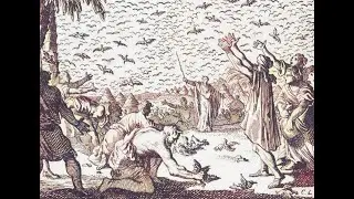 Bible Chapters That Should Be Movies (Numbers 11 KJV)