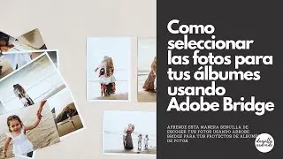 COMO SELECCIONAR TUS FOTOS EN BRIDGE