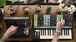 Moog Semi-Modular Synthesizers: Interconnectivity I
