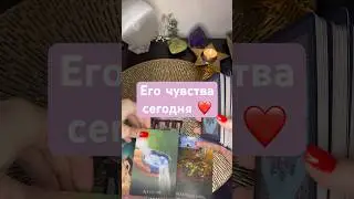 Его чувства сегодня ❤️