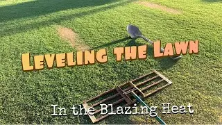 Leveling the Lawn   #lawn #leveling #sandcap