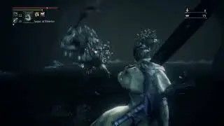 Killing the Sharks with the 