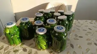 Маринуем тонну огурцов) Залили полы в погребе и перешли на наружные работы