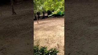 mini vlog kaise banate hain | 🧳 how to create mini vlogs #shorts #yt_shorts