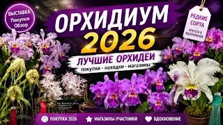 Орхидиум 2026 || ЭТО ЧТО-ТО НЕ ВЕРОЯТНОЕ || МОСКВА выставка орхидей и редких растений 