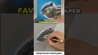How to draw fur with pastel pencils   | JasonMorgan.co.uk