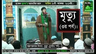 মৃত্যু (৩য় পর্ব) - আল্লামা  হাছানুর রহমান হোছাইন নক্সেবন্দী - MiM TV BD