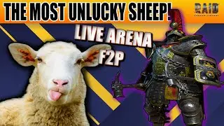 THIS SHEEP JUST RUINED MY MOJO IN LIVE ARENA! Raid: Shadow Legends