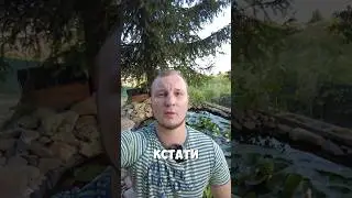 Словацкий язык 👅 ТОП 100 Выражений 3 #shorts  #словацкийязык #словакия  #языки #учимязык #language