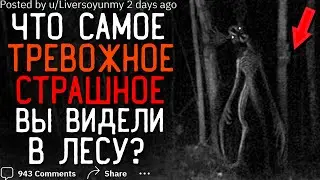 Что Самое ТРЕВОЖНОЕ/СТРАШНОЕ  Вы Видели в Походе?