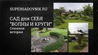Ландшафтный дизайн для всех: сад Дмитрия Патрикеева 