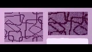Техникa жаккарда(или интарсии),с ''ниточным'' эффектом.