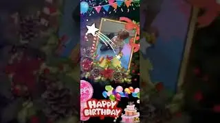 Feliz Aniversário