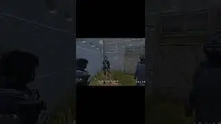 Хомячок от 