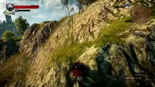 Witcher 3 Shenanigan: Last "?" Question Mark in Velen
